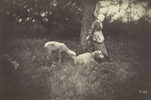 Bergère appuyée contre un arbre, avec deux moutons - Giraudon