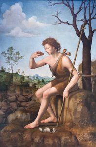 Saint Jean-Baptiste - Giuliano Bugiardini