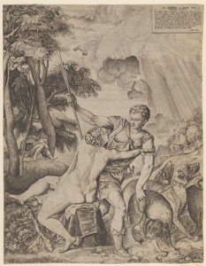 Vénus et Adonis - Giulio Sanuto