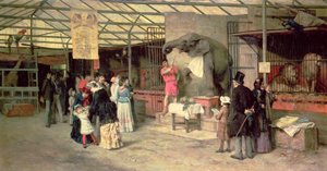 Au zoo