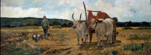 Paysage en Maremme