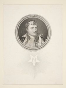 Napoléon en tant que roi d