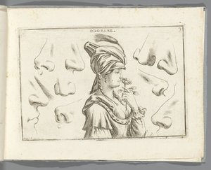 Odorat