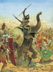 Deuxième guerre punique : la bataille de Zama (202 av. J.-C.) les éléphants carthaginois