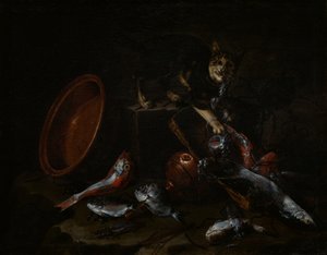 Un chat volant du poisson