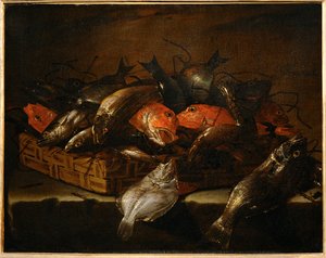 Nature morte avec poissons ... - Giuseppe Recco