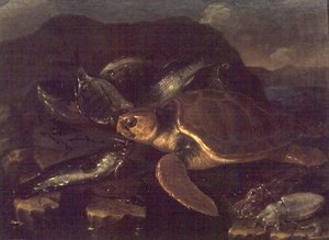 Nature morte avec un poisson et une tortue