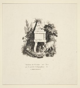 Cerf buvant - Godefroy Engelmann