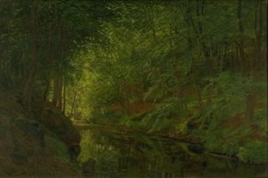 Un ruisseau dans le bois de Sæbygaard, Vendsyssel, Jutland