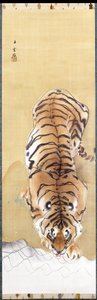 Tigre - Goun Nishimura