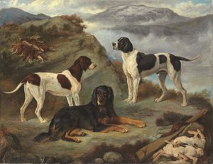 Sherry, Ranger et Glen, trois chiens de chasse dans un paysage
