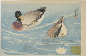 Canards, août 1920