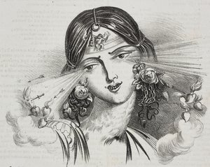 Beauté féminine, caricature de Jean-Jacques Grandville (1803-1847), lithographie de Gaetano Riccio de Poliorama Pittoresco, n 20, 24 décembre