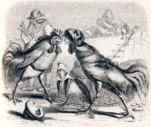La perdrix et les deux coqs - Fables de La Fontaine