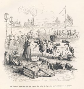 Fourmis en pleine activité sur les berges de la Seine. Vignettes illustrées par JJ Granville. Gravure signée Porret dans "Voyage d
