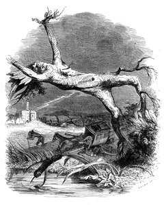 Le chêne et le roseau : fable de La Fontaine