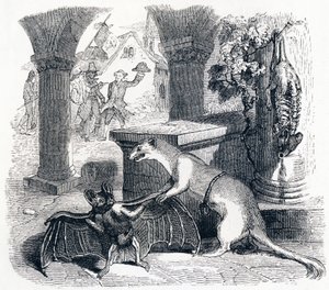 La chauve-souris et les deux belettes - Fables de La Fontaine - Grandville
