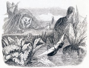 La colombe et la fourmi - Fables de La Fontaine