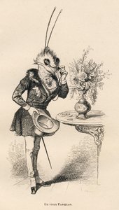 Un vieux papillon regardant l