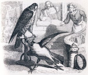 Le faucon et le chapon