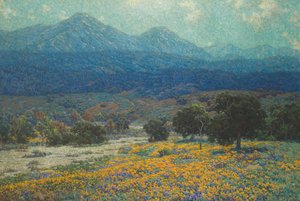 Champ de coquelicots en Californie - Granville Redmond