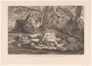 Narcisse et Écho - Gérard Audran