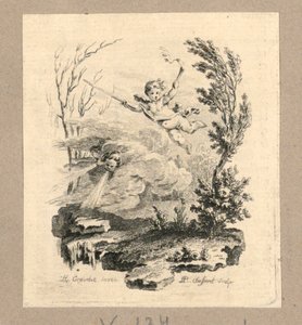 Hiver et Printemps - Gravelot