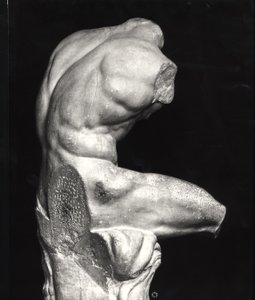 Torso du Belvédère (marbre) (photo n/b) - Greco Roman Greco Roman