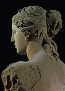 Vénus de Milo (détail)