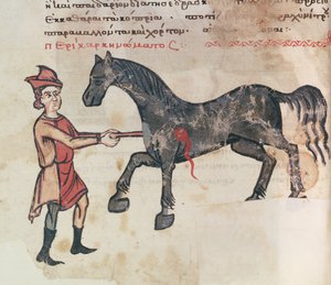 Ms Grec 2244 fol.37v Opération sur un cheval