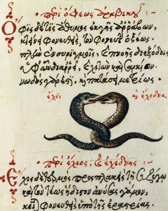 Accouplement de serpents, test et miniature de De animalium natura et proprietate libellus, par Aelianus (2ème-3ème siècle après J.-C.) - Greek School