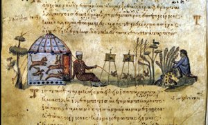 La chasse aux oiseaux à l