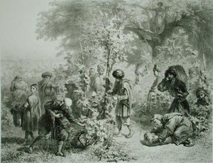 Vendange en Kakhétie, Géorgie, planche 30 d