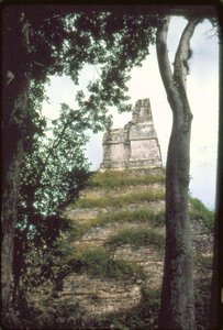 Temple des Inscriptions, c. 700 apr. J.-C. - Guatemalan School