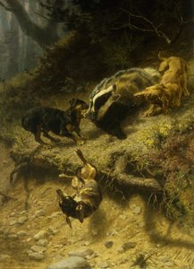 Teckels sur un Blaireau, 1882