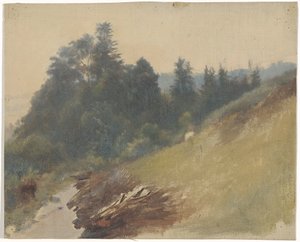 Pente de montagne avec des pins - Guillaume Anne van der Brugghen
