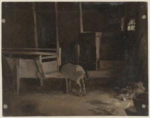 Chevreau dans une étable