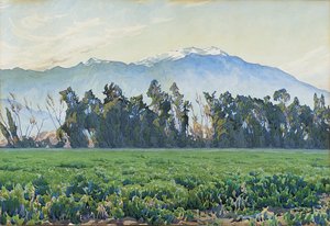 Les montagnes de la Sierra Nevada