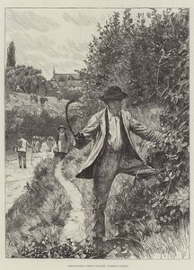 Scènes agricoles, octobre, taille des haies