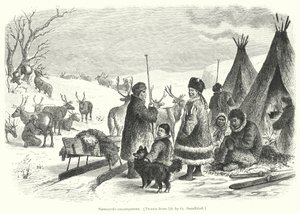 Campement Samoyède