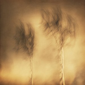  - Gustav Davidsson