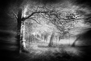  - Gustav Davidsson