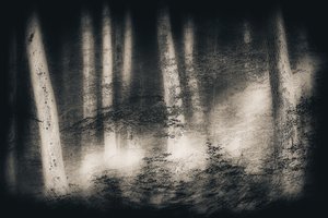  - Gustav Davidsson