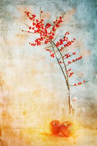 Baies rouges et pommes - Gustav Davidsson