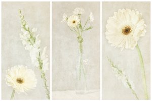 Fleurs blanches délicates - Gustav Davidsson