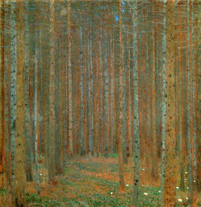 Forêt de sapins I