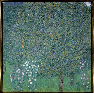 Rosiers sous les arbres