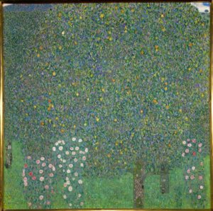 Rosiers sous les arbres