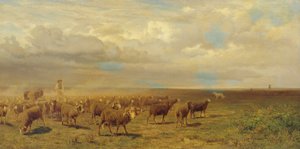 Troupeau de moutons dans la Puszta