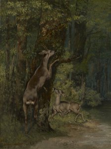 French: Cerfs dans la forêt Deer in the Forest